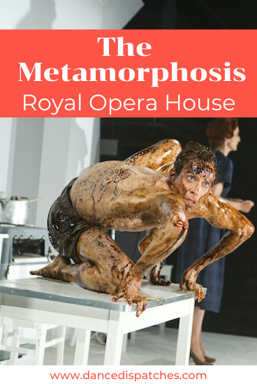 The Metamorphosis Royal Opera House Pinterest Pin