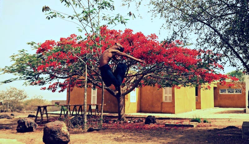 A man arches and jumps back in front of a pink bougainvillea tree